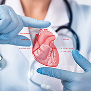Cardiology Cardiology